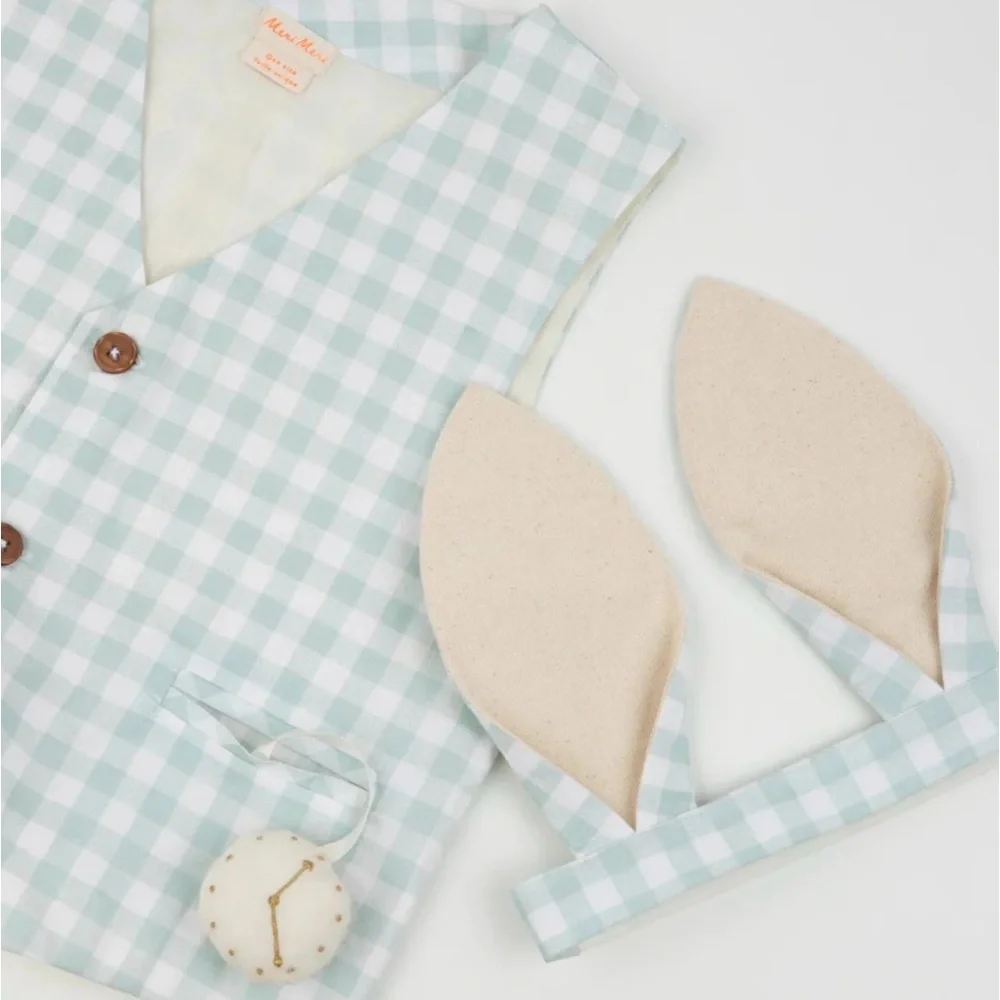 🐰Meri Meri Dusty Mint Gingham 2-Piece Bunny Costume Vest & Ears Set O/S